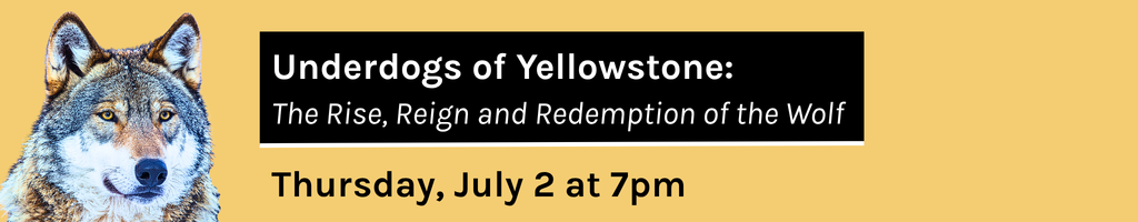 Underdogs of Yellowstone: the Rise, Reign and Redemption of the Wolf Thursday July 2 2026 7:00PM