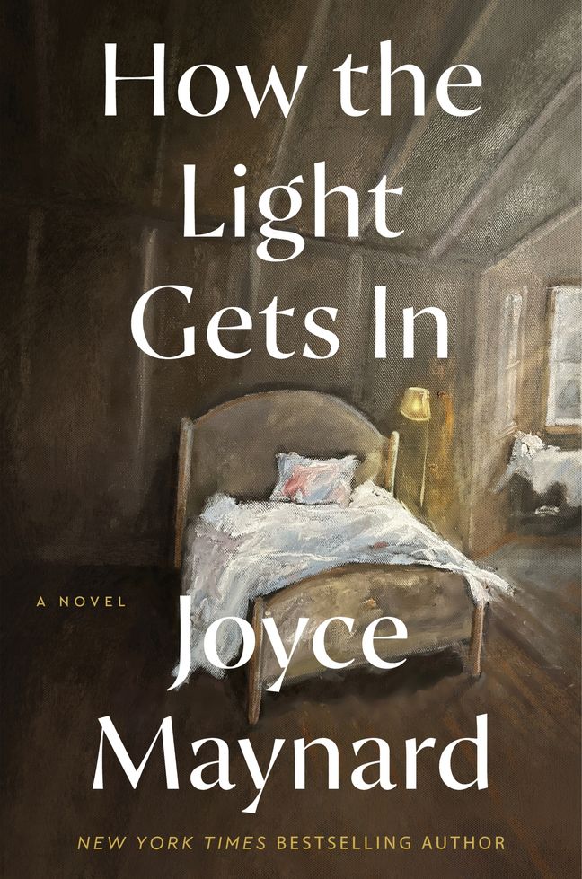 Want to Read Kindle $9.99 How the Light Gets In