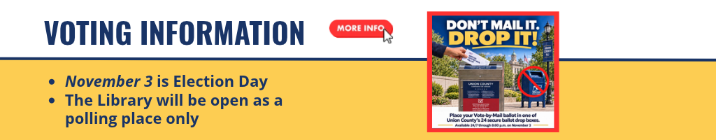 Voting Information Resources